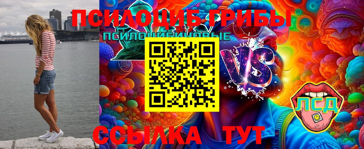 Псилоцибиновые грибы мухоморы  Вход с VPN  Орёл  Псилоцибиновые грибы MAGIC MUSHROOMS 